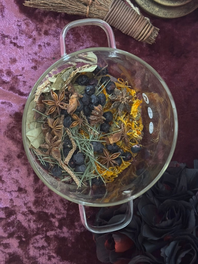 Night Watch | Protection & Warding Ritual Simmer Pot