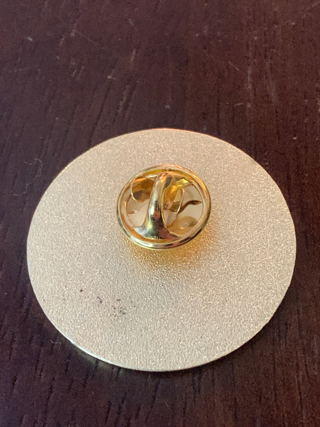 Second Chance Society Enamel Pin: Sobriety Recovery Gift